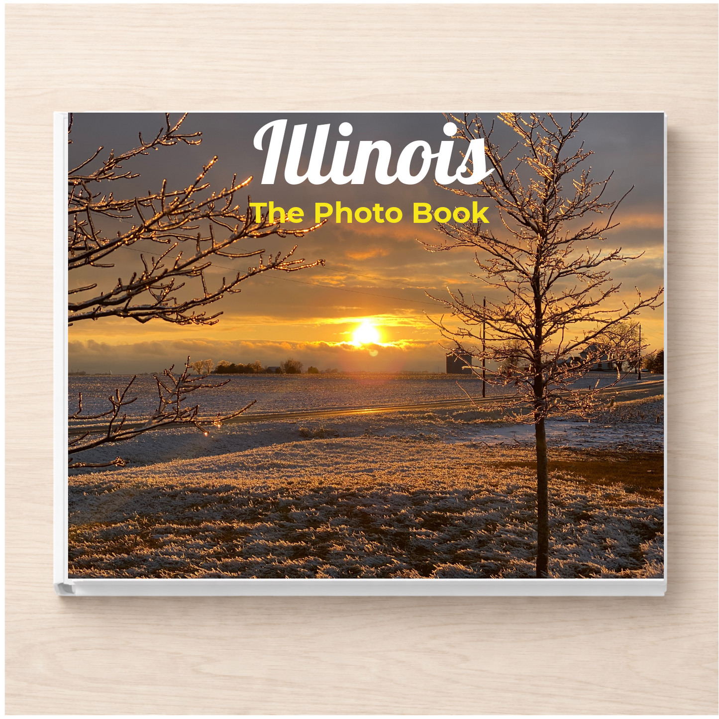 Illinois: The Photo Book