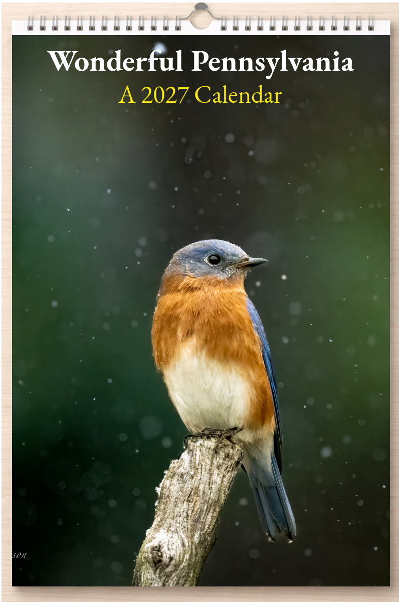 Wonderful Pennsylvania: A 2027 Calendar