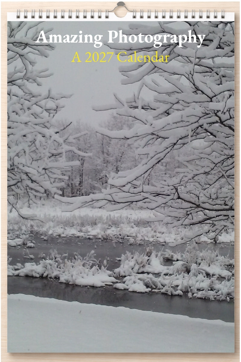 Amazing Photography: A 2027 Calendar