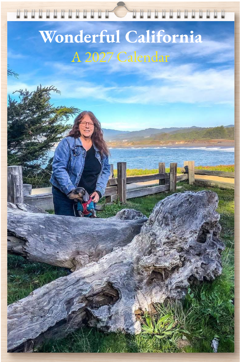 Wonderful California: A 2027 Calendar