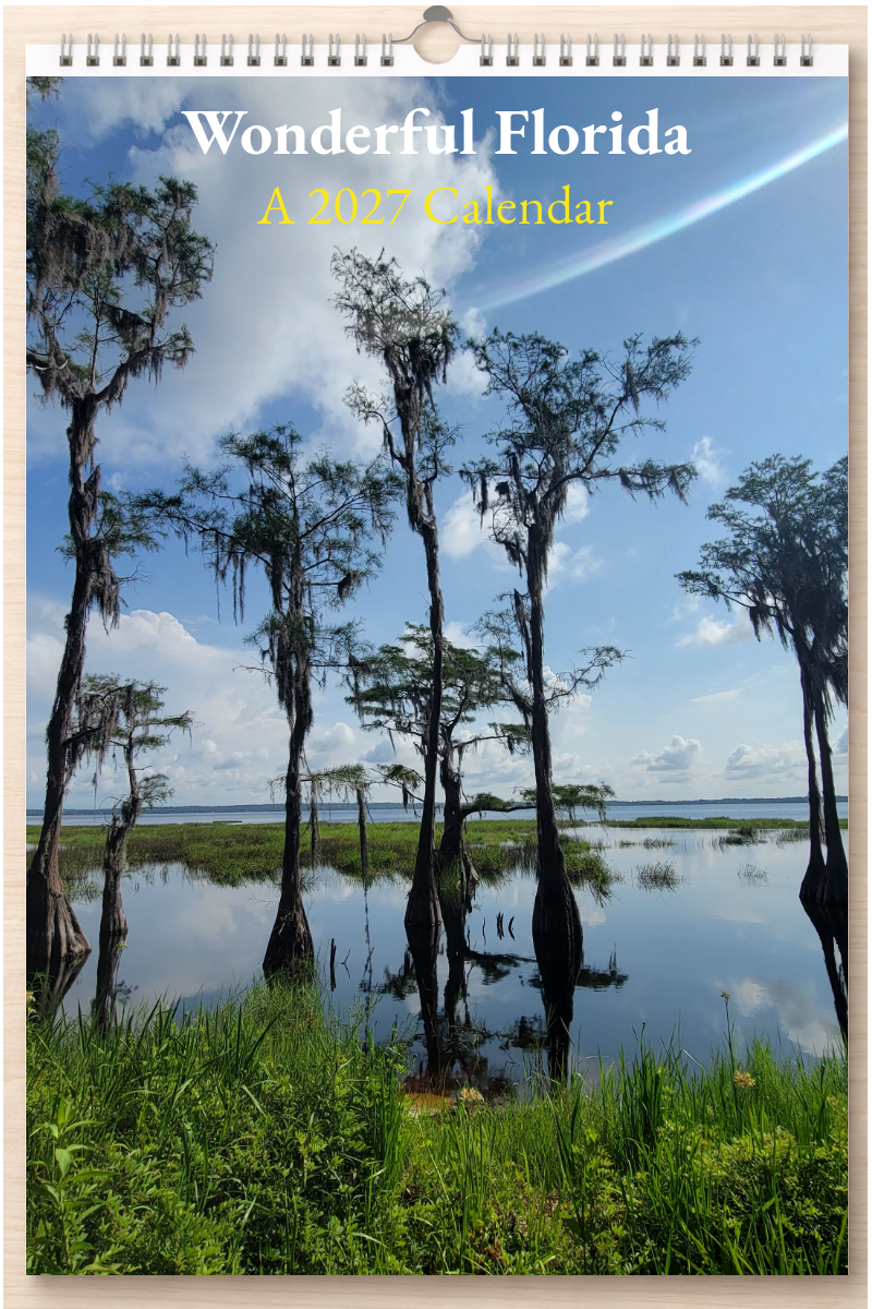 Wonderful Florida: A 2027 Calendar