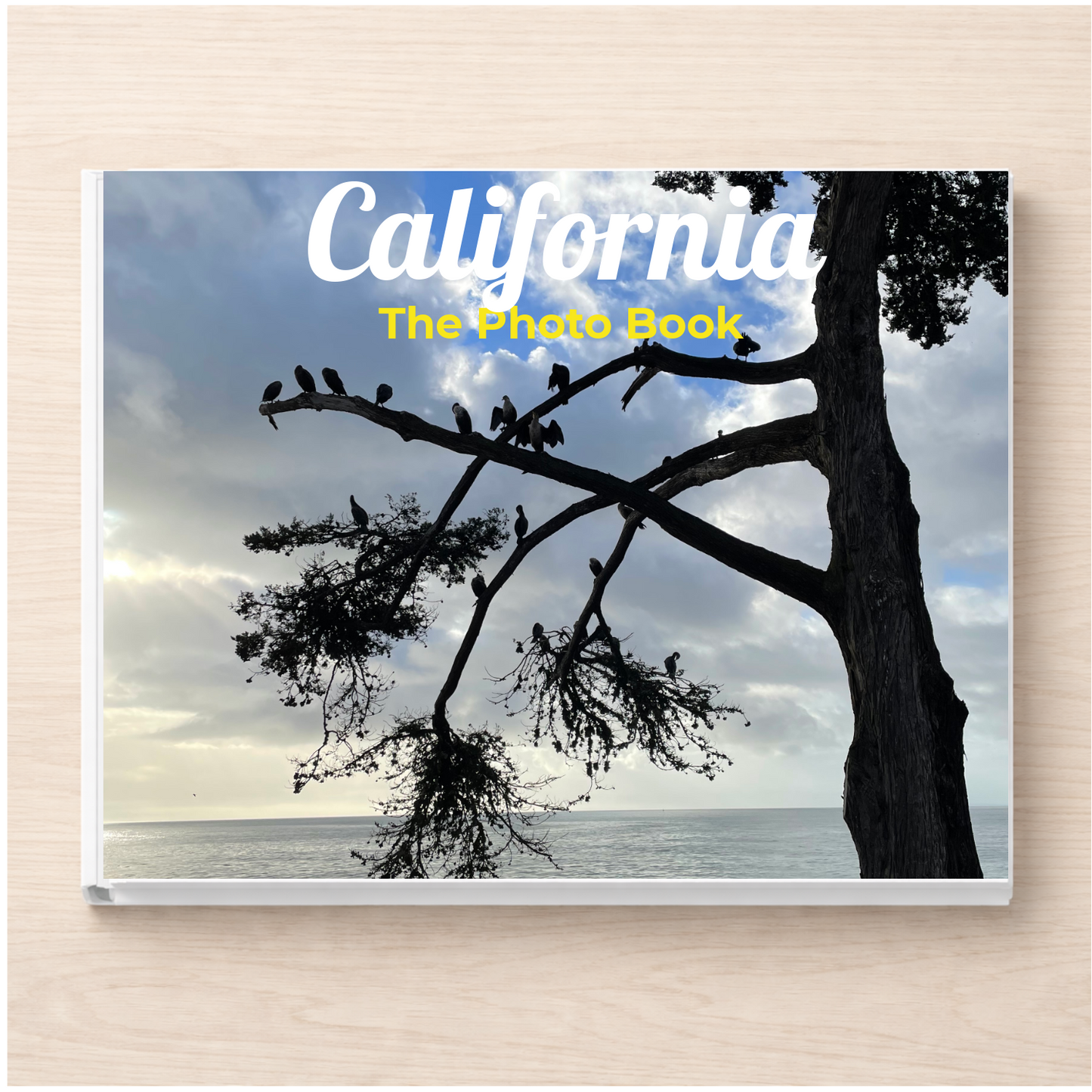 California: The Photo Book