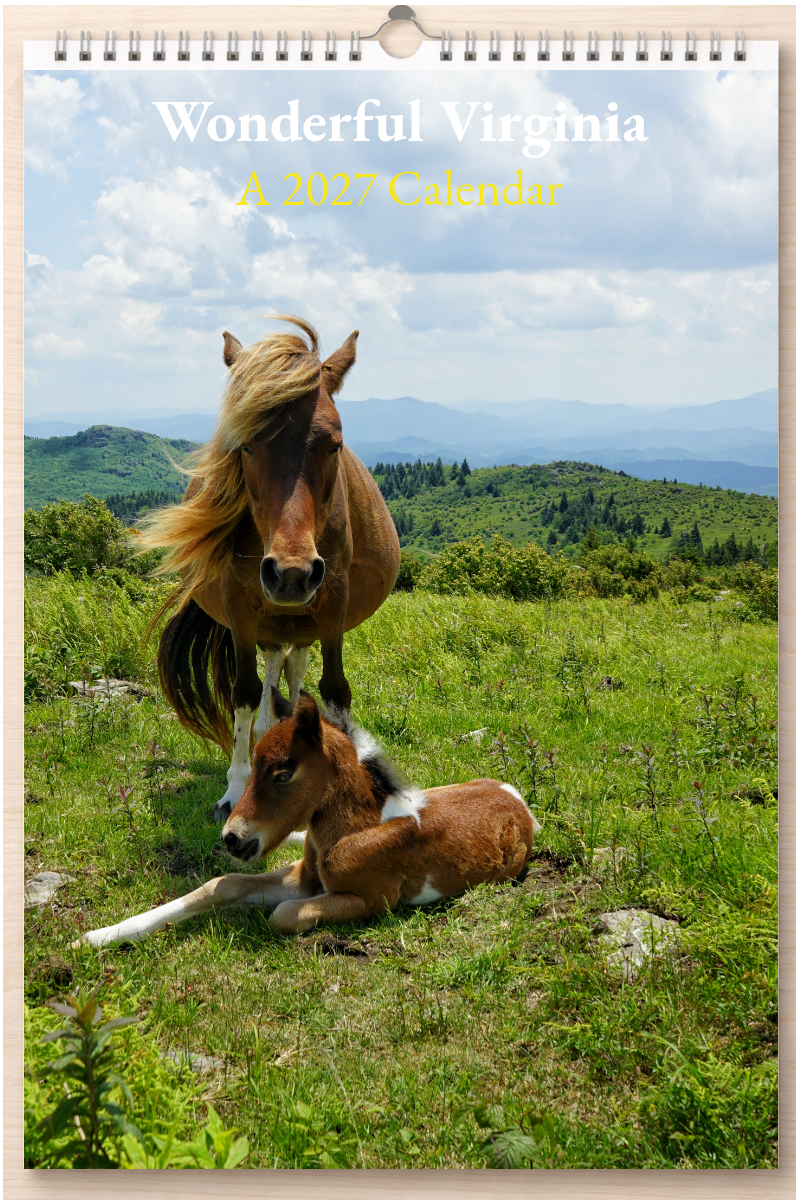 Wonderful Virginia: A 2027 Calendar