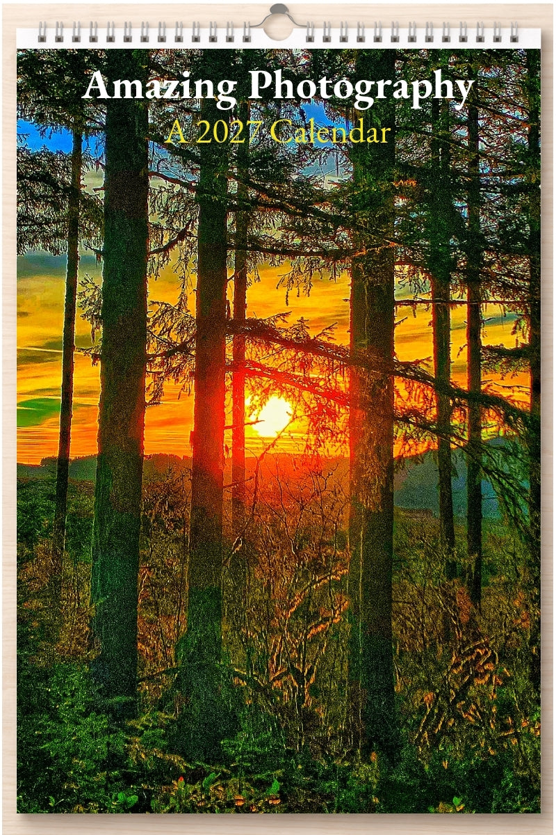 Amazing Photography: A 2027 Calendar