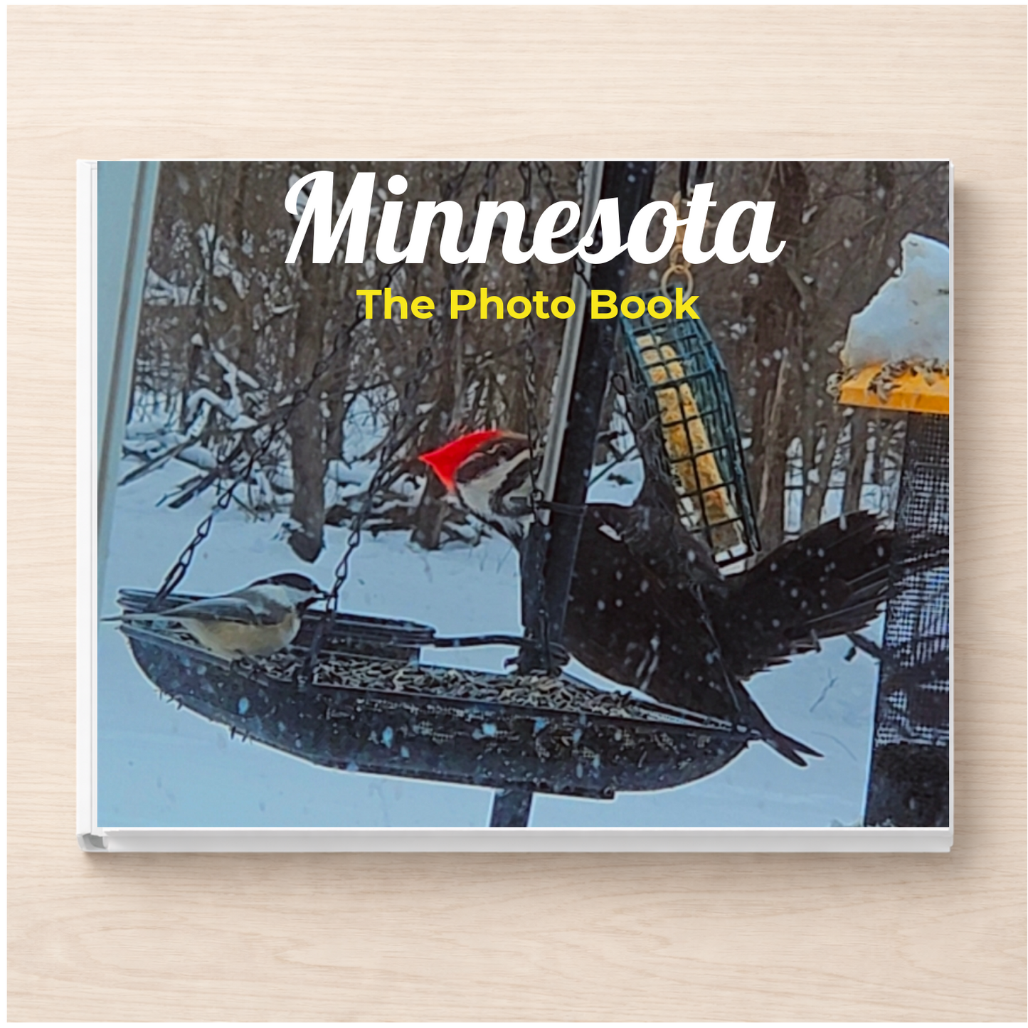 Minnesota: The Photo Book