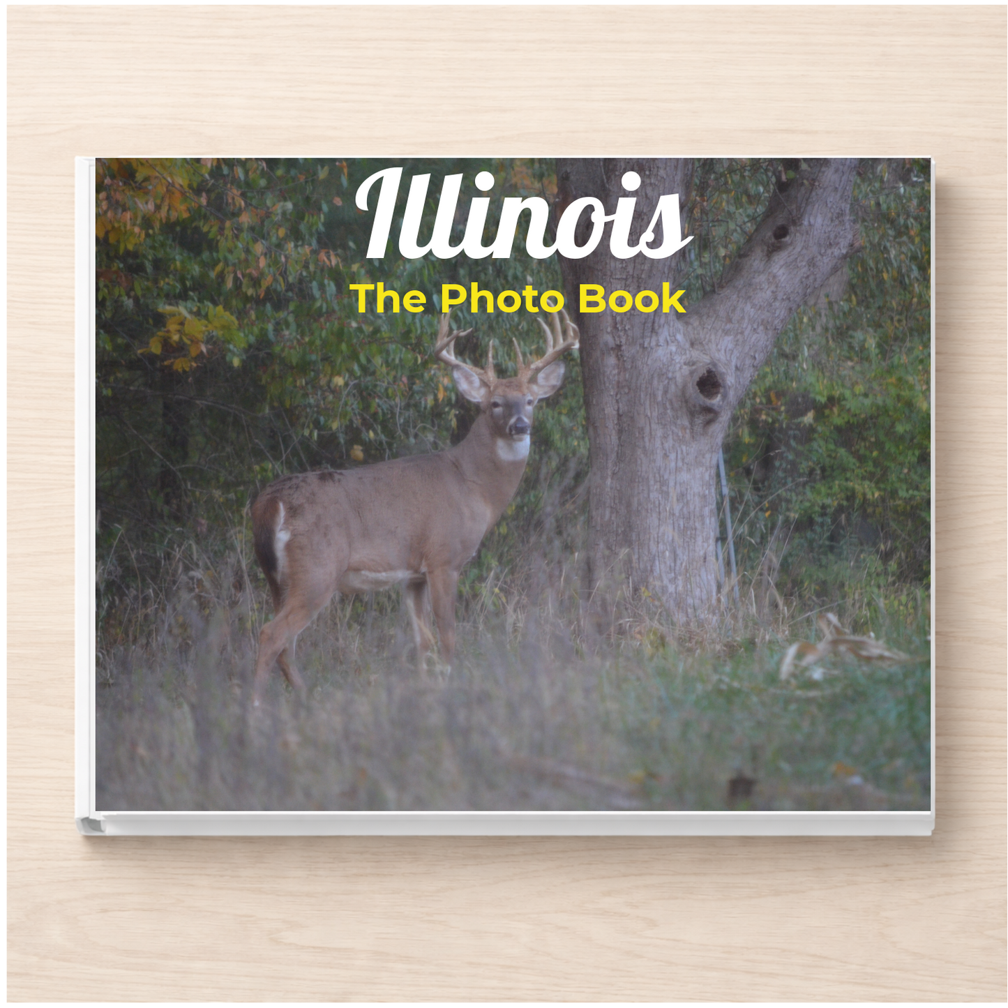 Illinois: The Photo Book