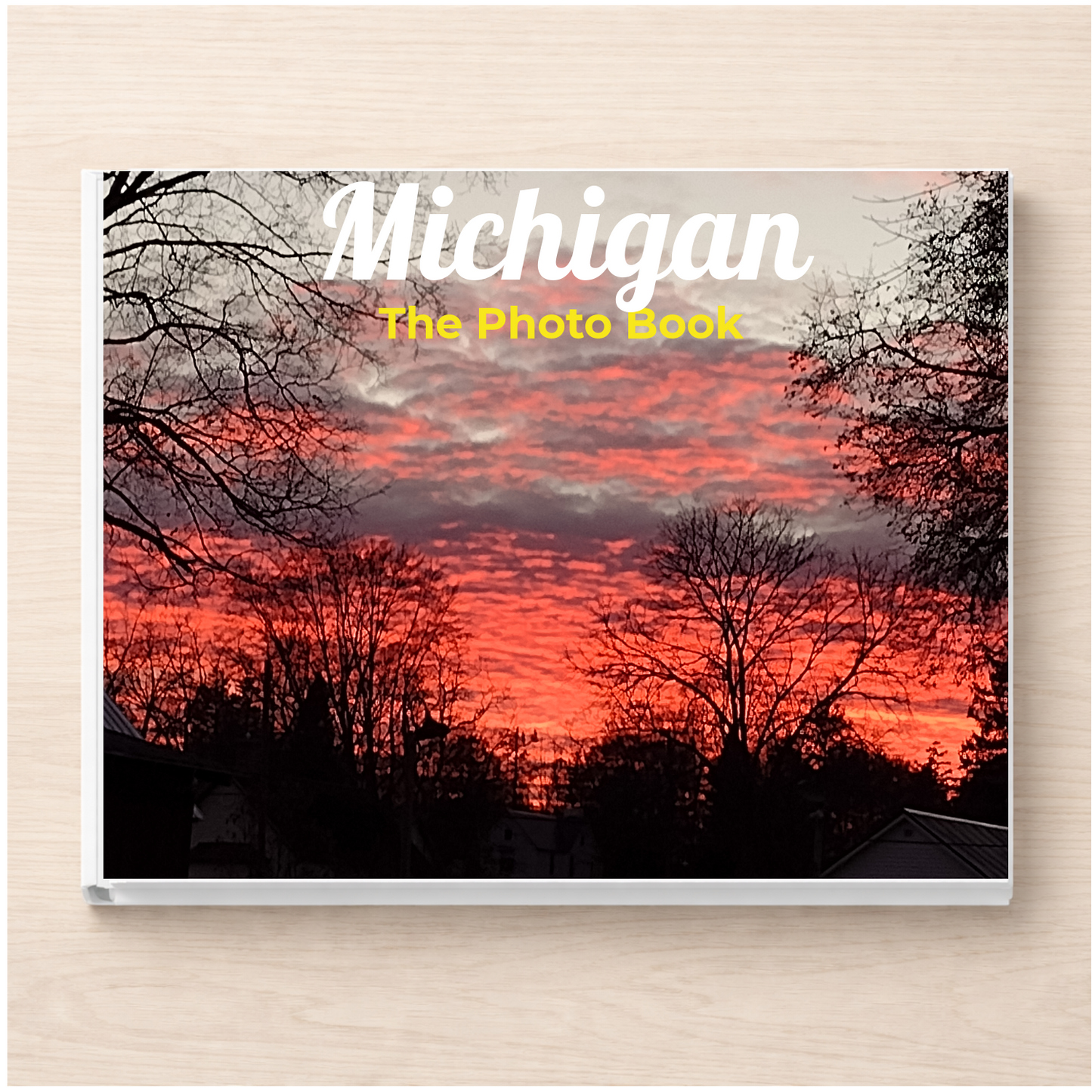 Michigan: The Photo Book
