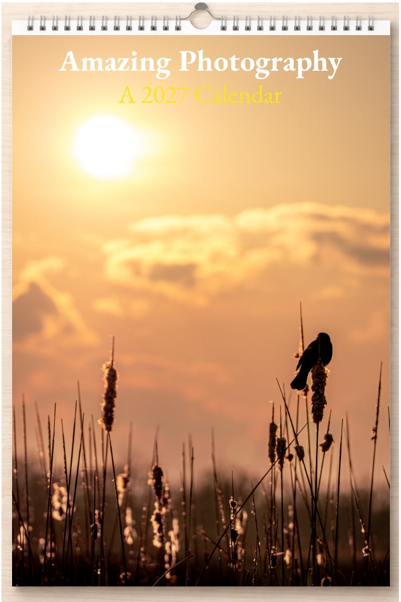 Amazing Photography: A 2027 Calendar