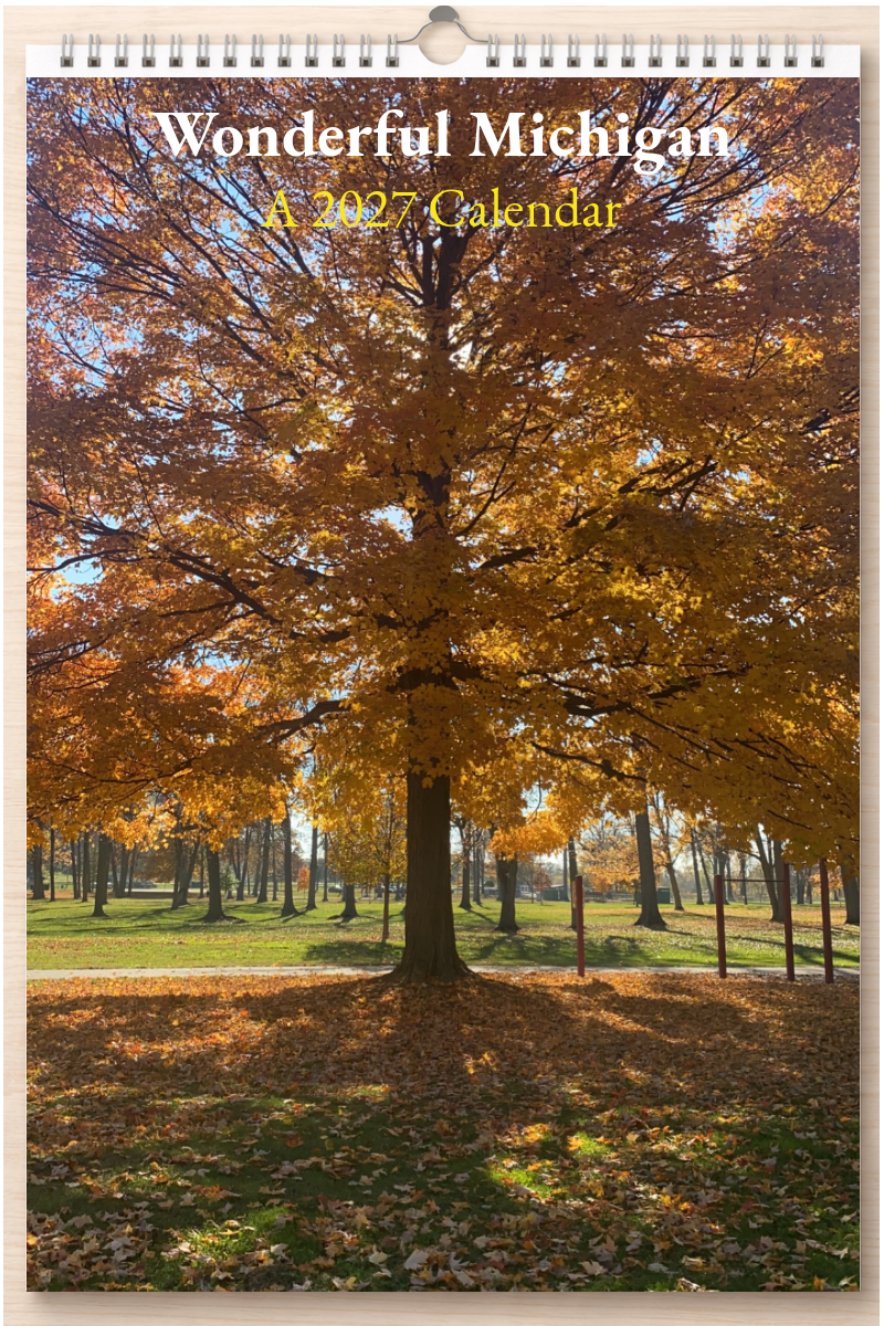 Wonderful Michigan: A 2027 Calendar
