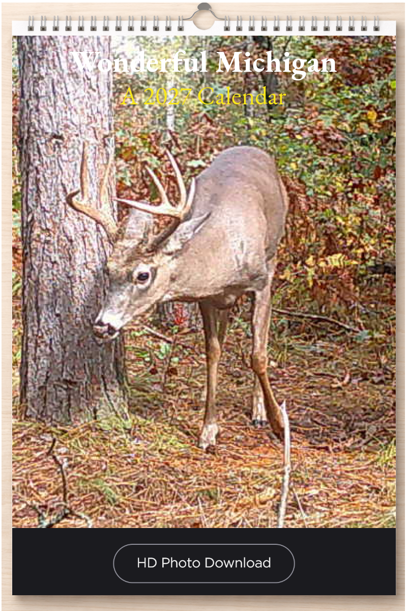 Wonderful Michigan: A 2027 Calendar