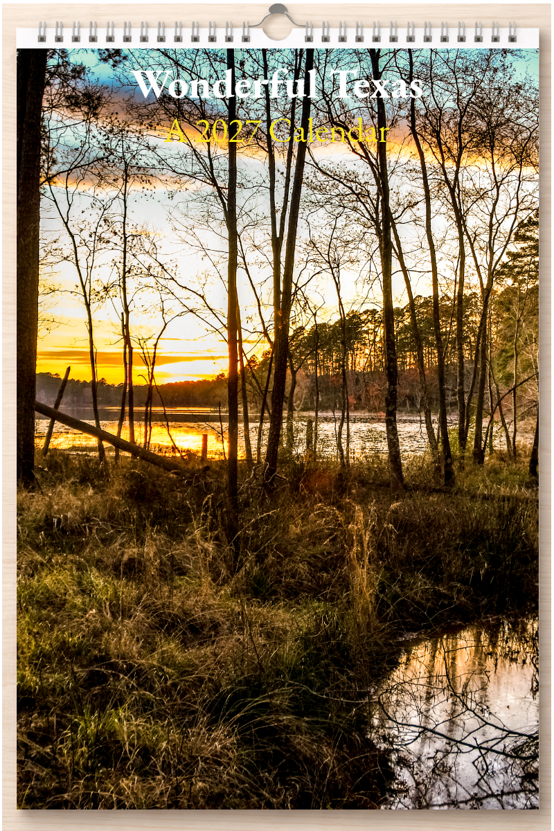 Wonderful Texas: A 2027 Calendar
