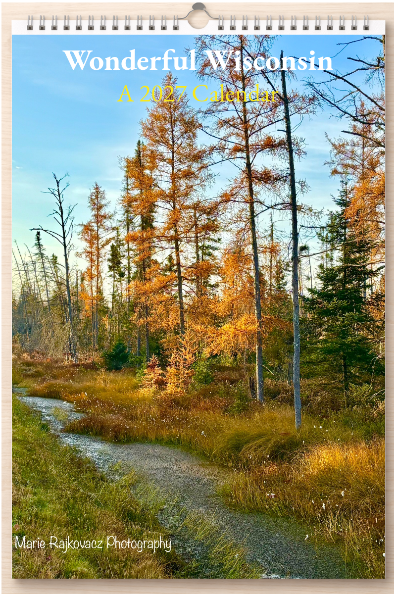 Wonderful Wisconsin: A 2027 Calendar