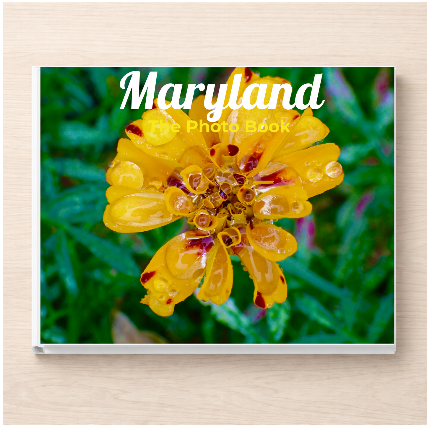Maryland: The Photo Book