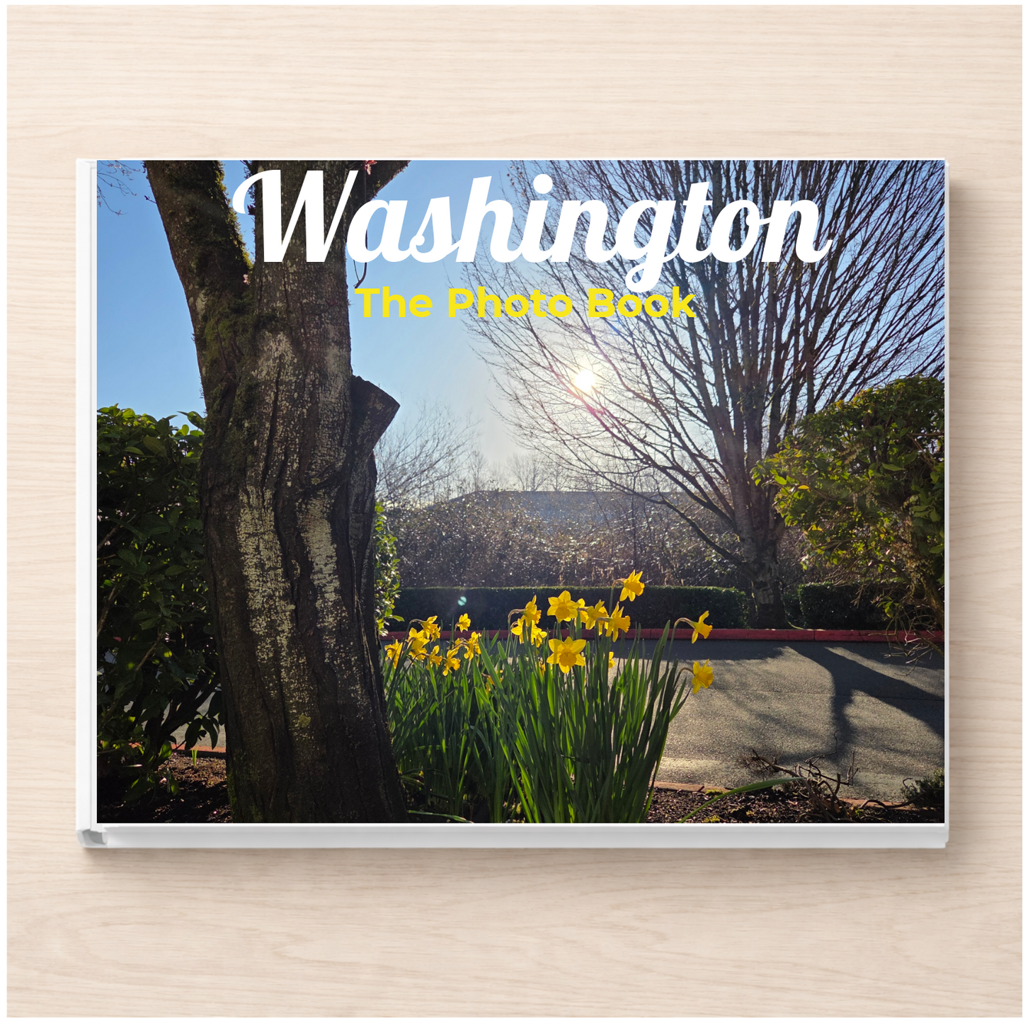 Washington: The Photo Book