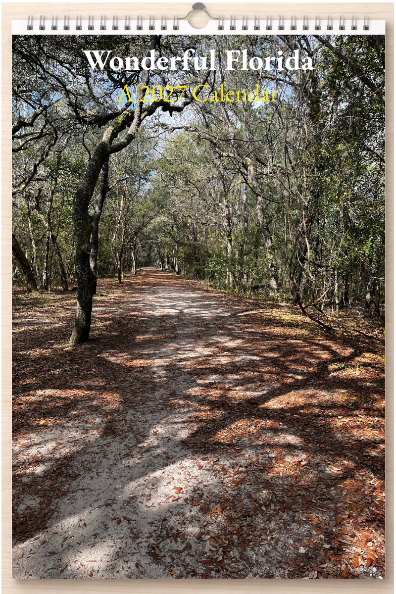 Wonderful Florida: A 2027 Calendar