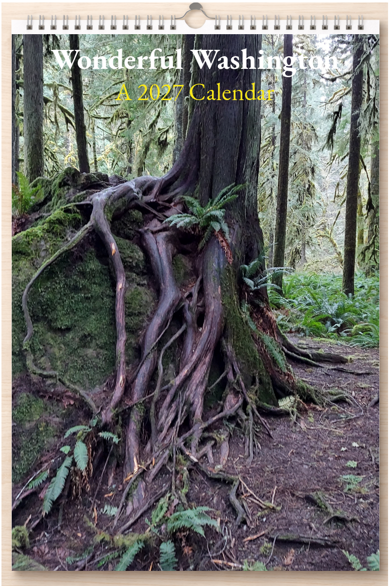 Wonderful Washington: A 2027 Calendar
