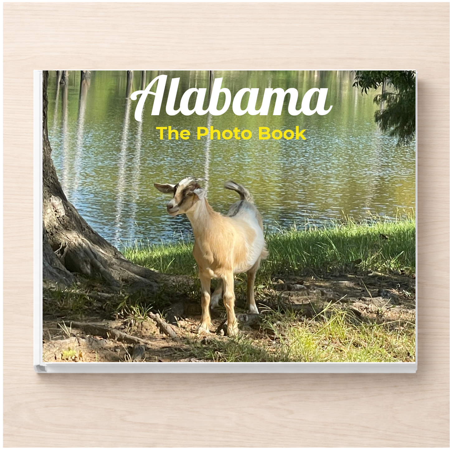 Alabama: The Photo Book