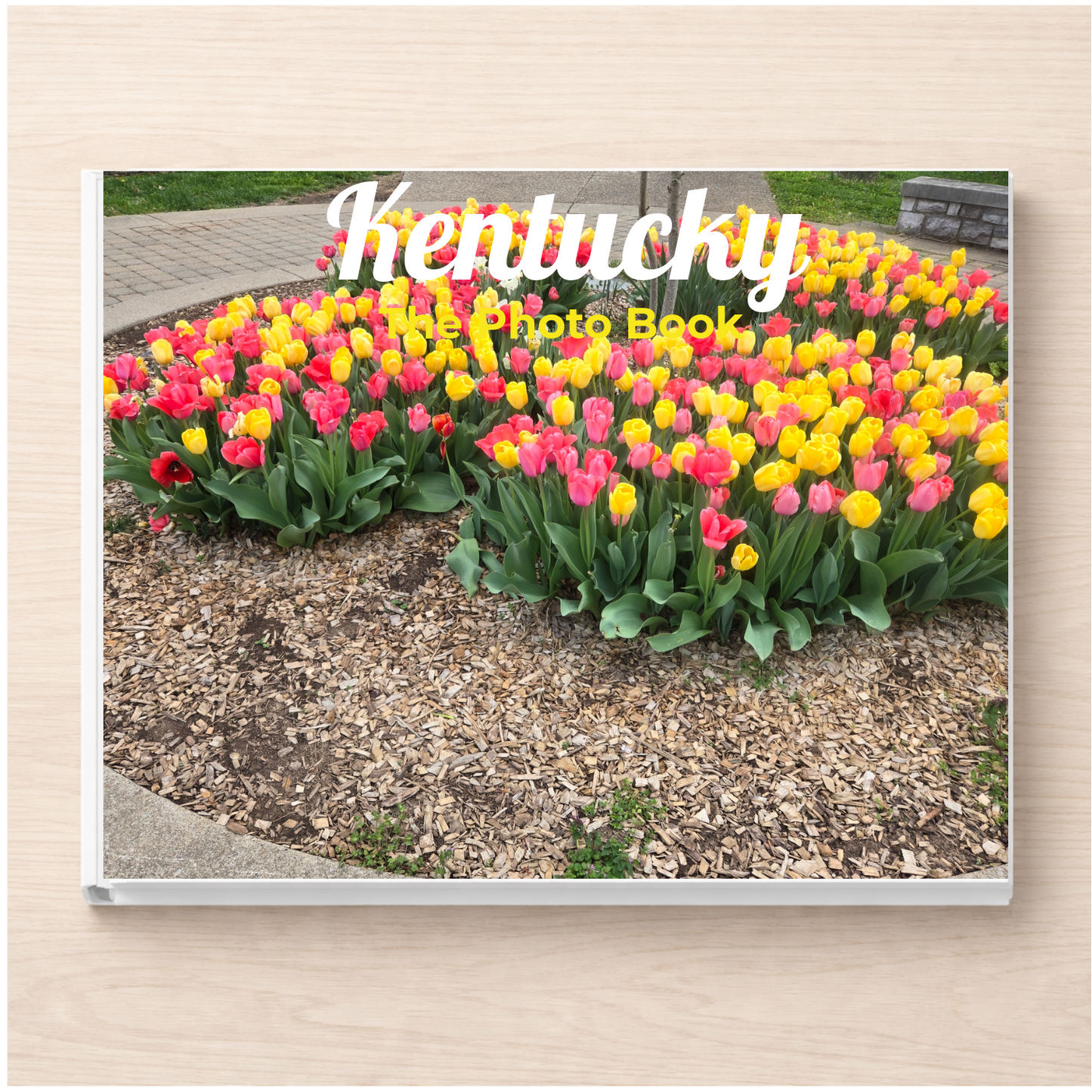 Kentucky: The Photo Book