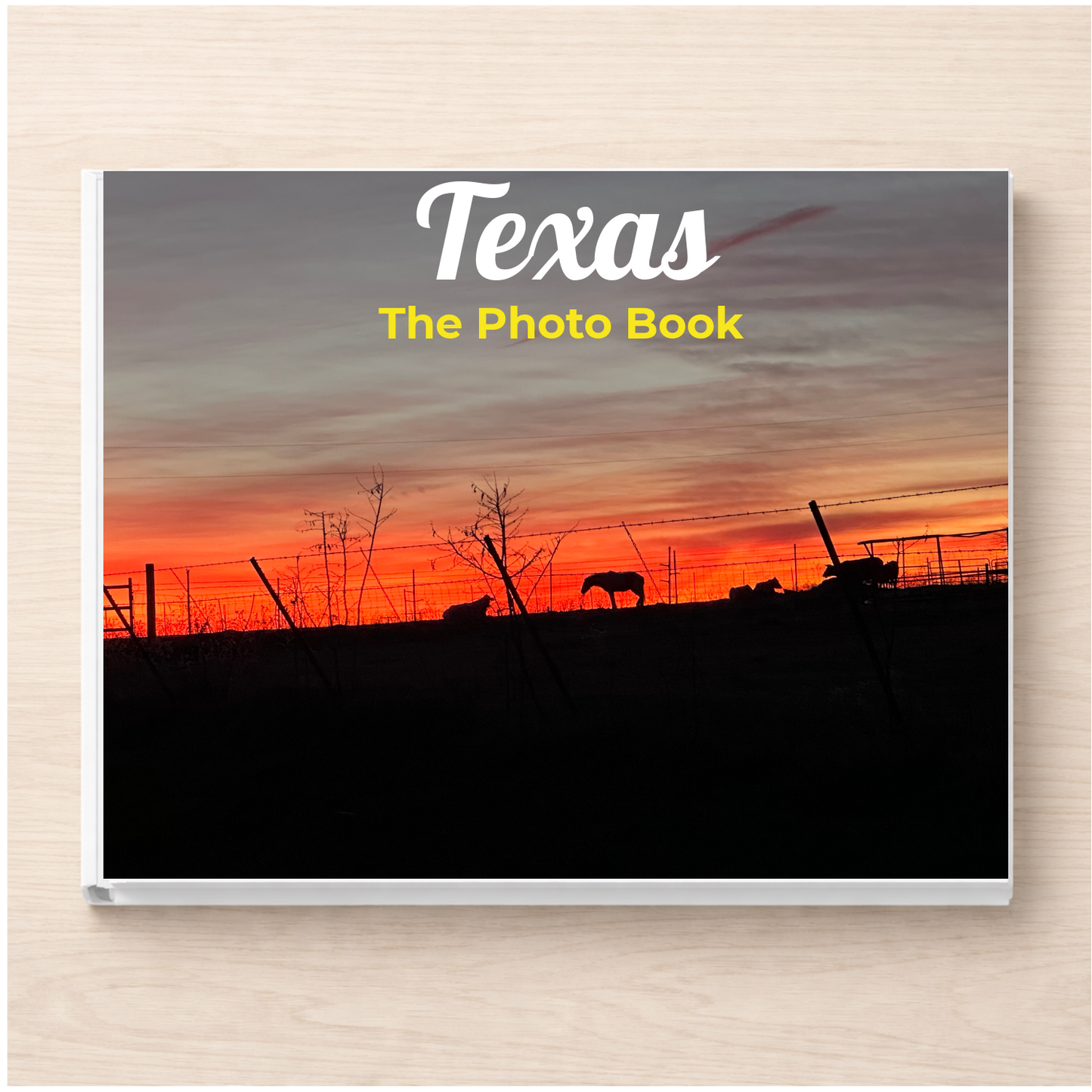 Texas: The Photo Book