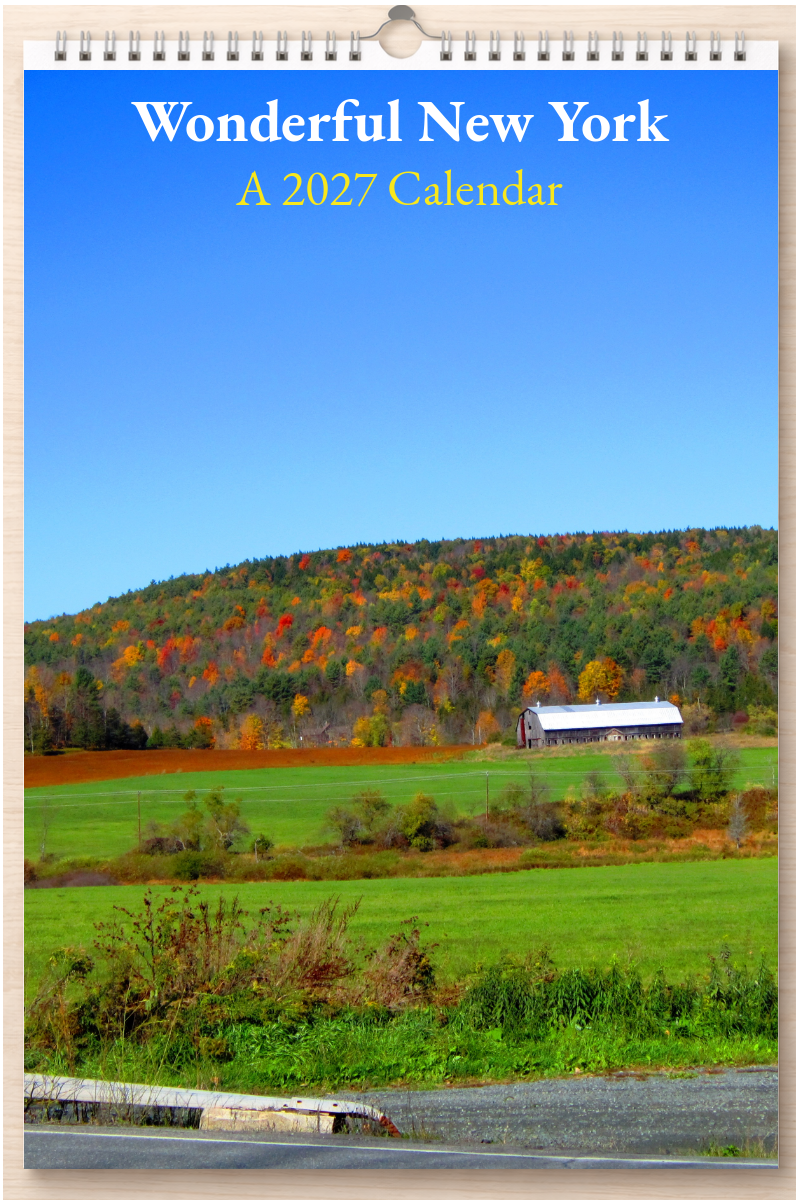 Wonderful New York: A 2027 Calendar