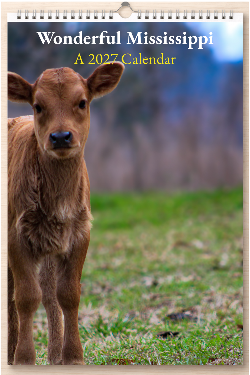 Wonderful Mississippi: A 2027 Calendar