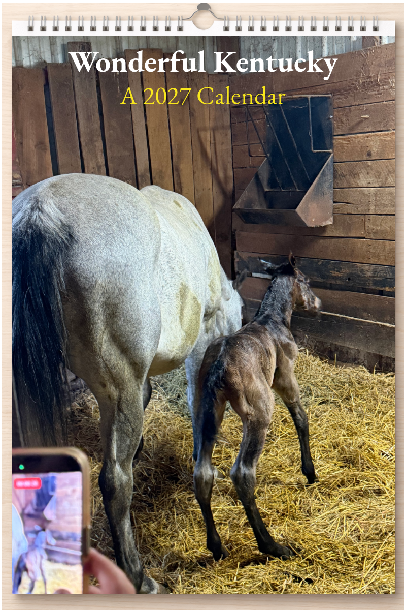 Wonderful Kentucky: A 2027 Calendar