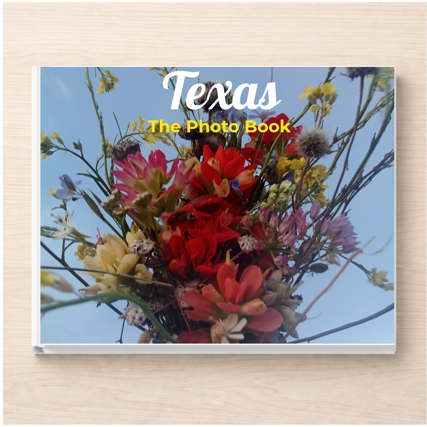 Texas: The Photo Book