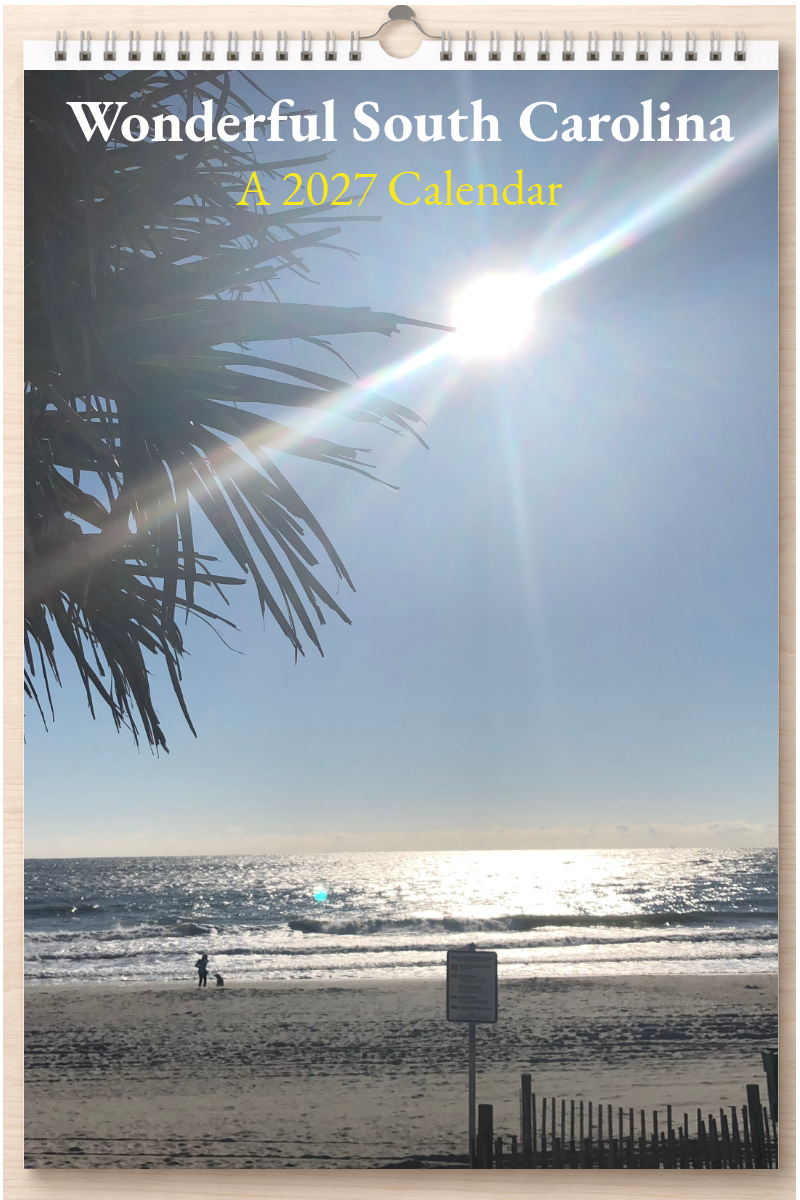 Wonderful South Carolina: A 2027 Calendar