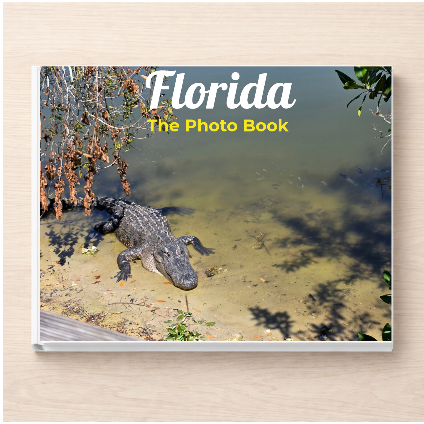 Florida: The Photo Book