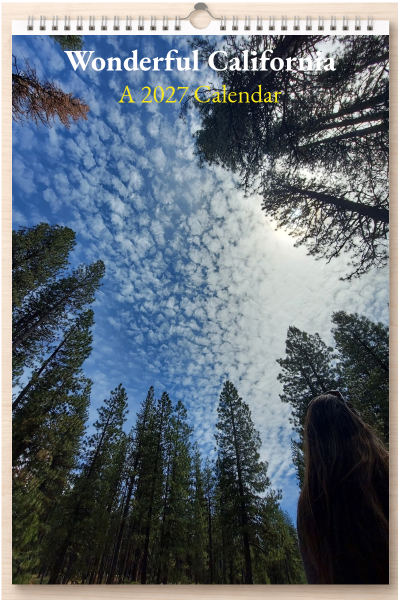 Wonderful California: A 2027 Calendar