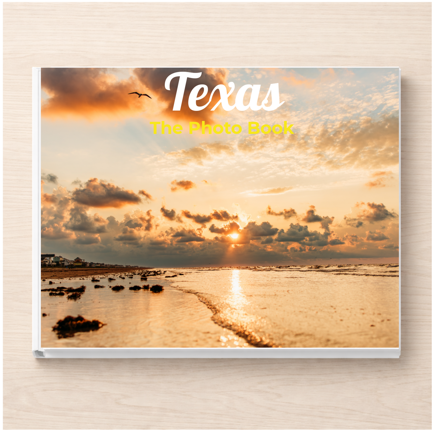 Texas: The Photo Book