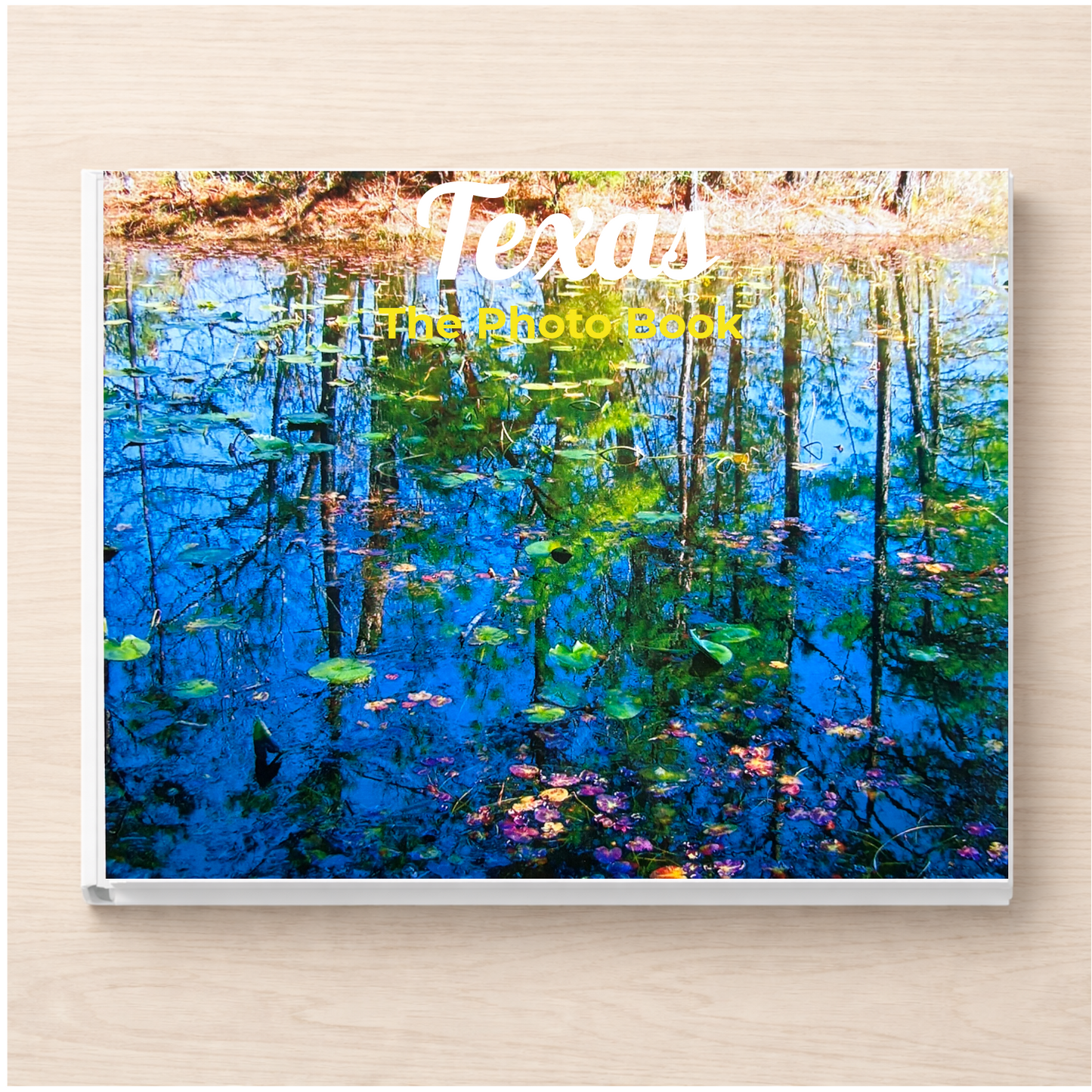 Texas: The Photo Book