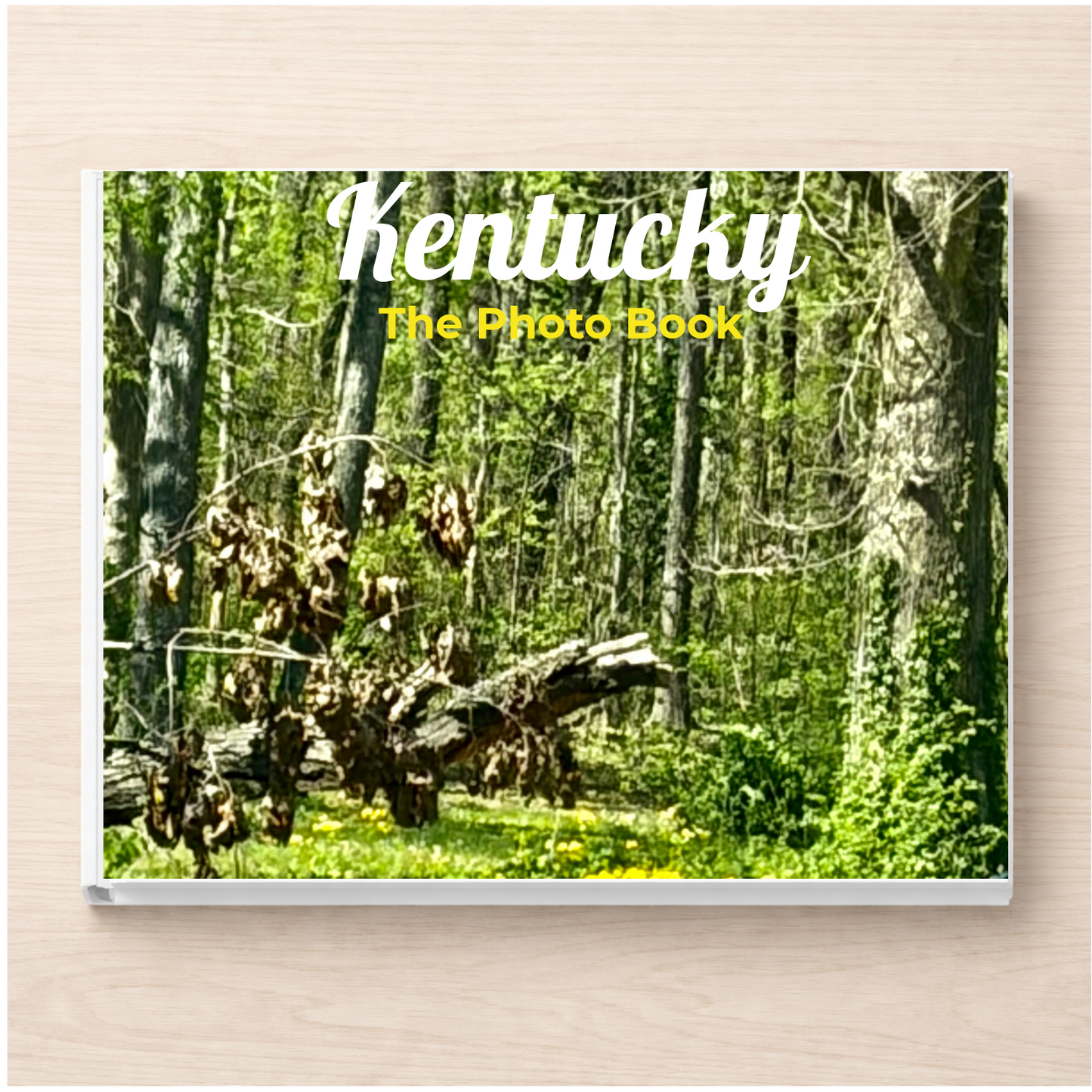 Kentucky: The Photo Book