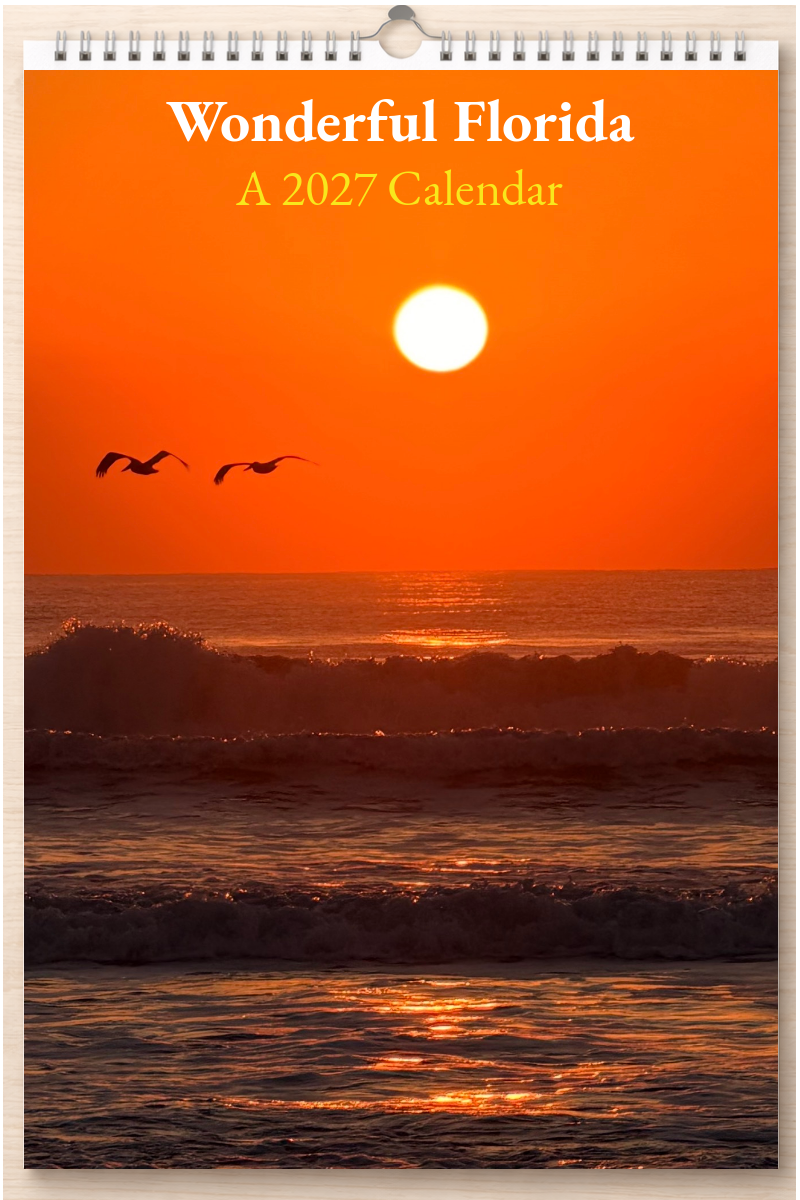 Wonderful Florida: A 2027 Calendar