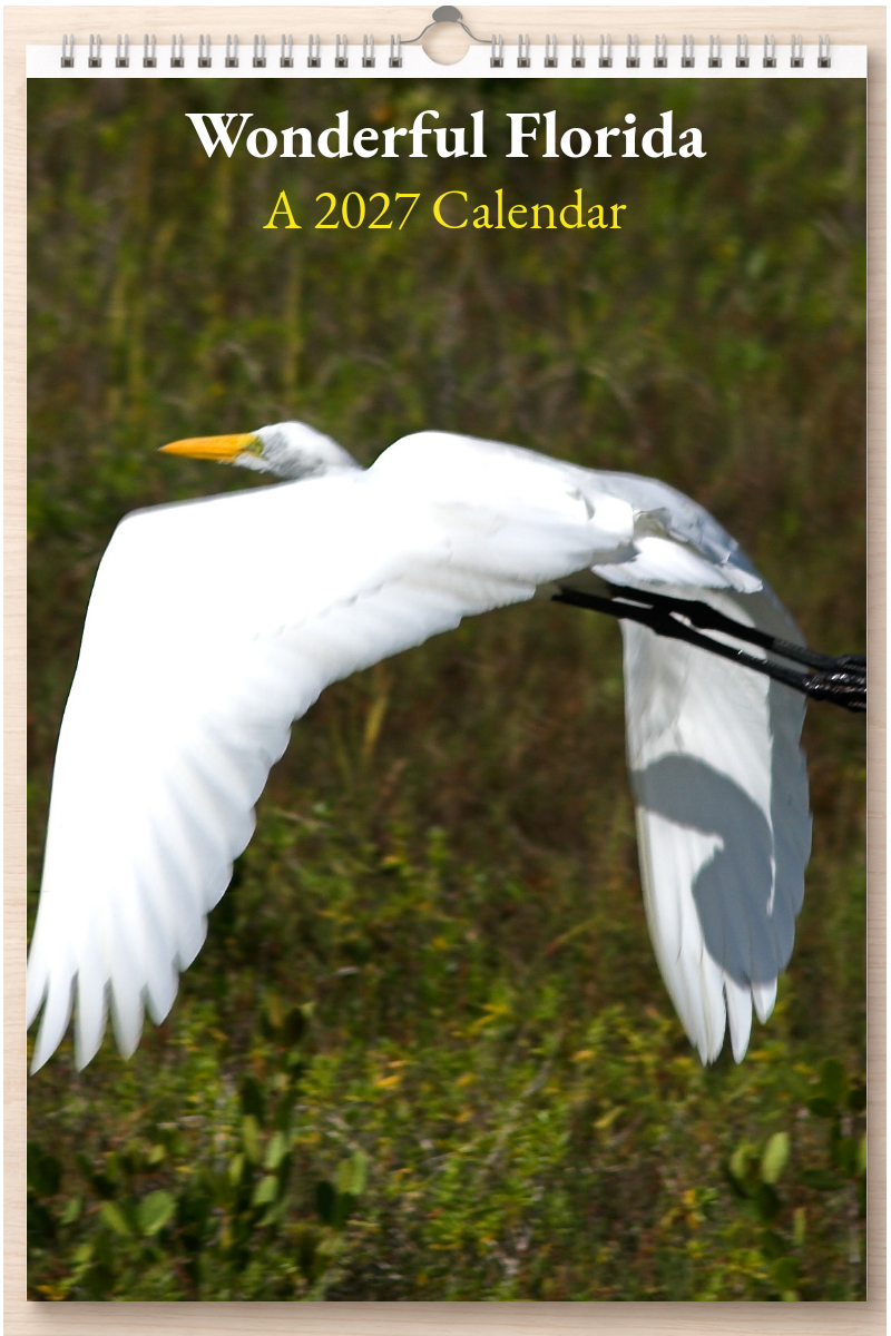Wonderful Florida: A 2027 Calendar