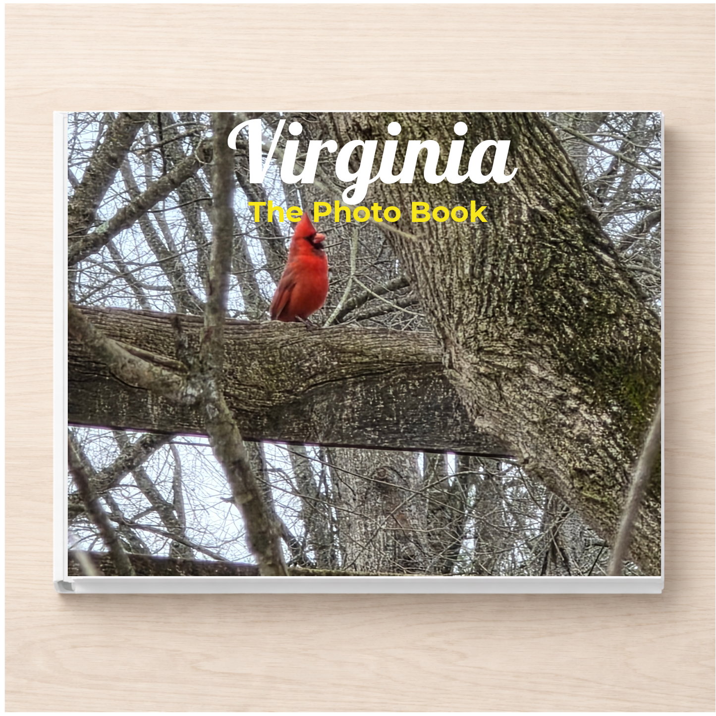 Virginia: The Photo Book