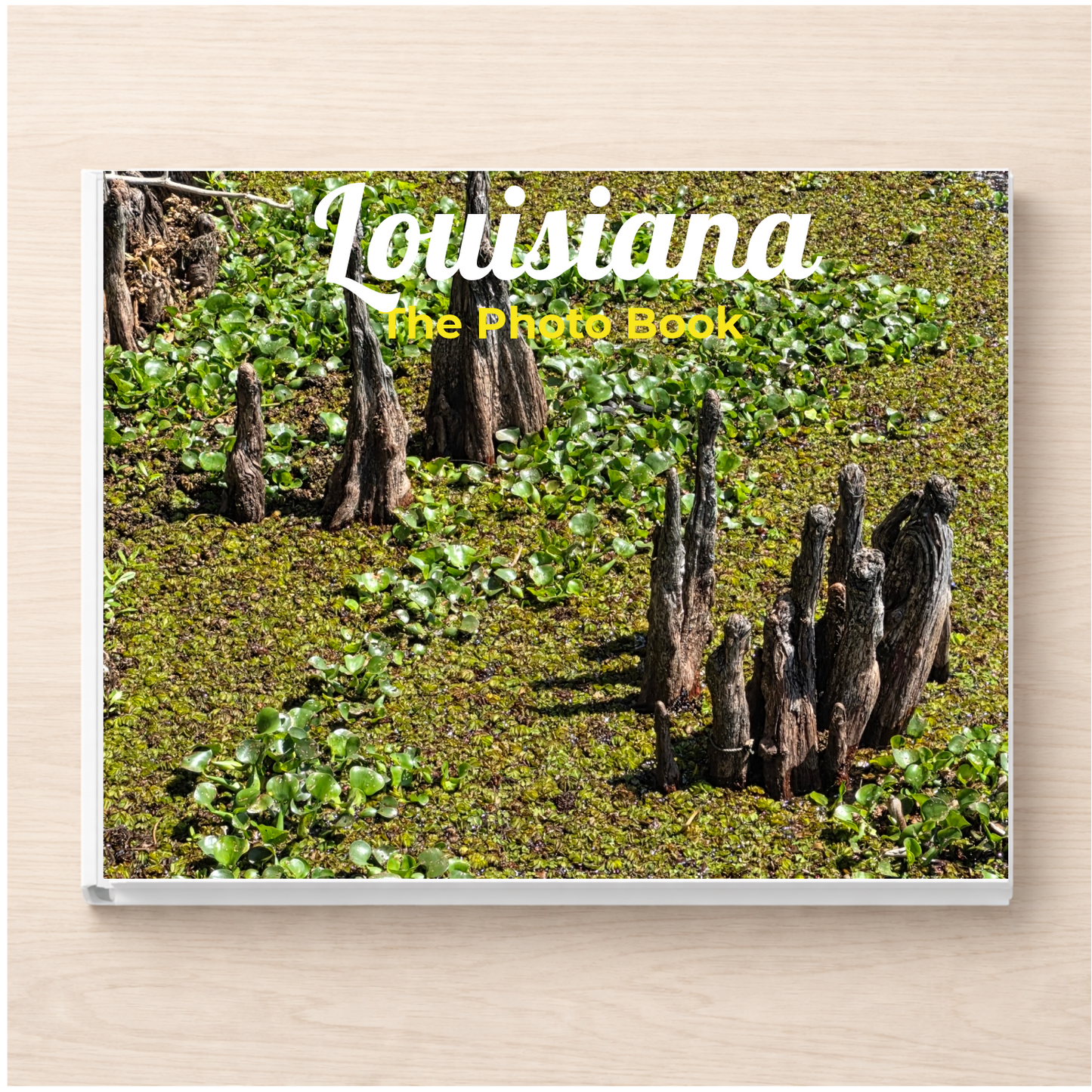 Louisiana: The Photo Book