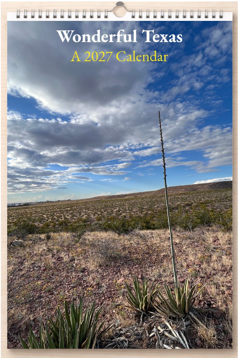 Wonderful Texas: A 2027 Calendar