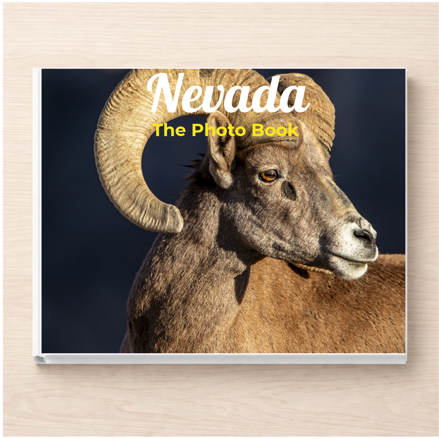 Nevada: The Photo Book