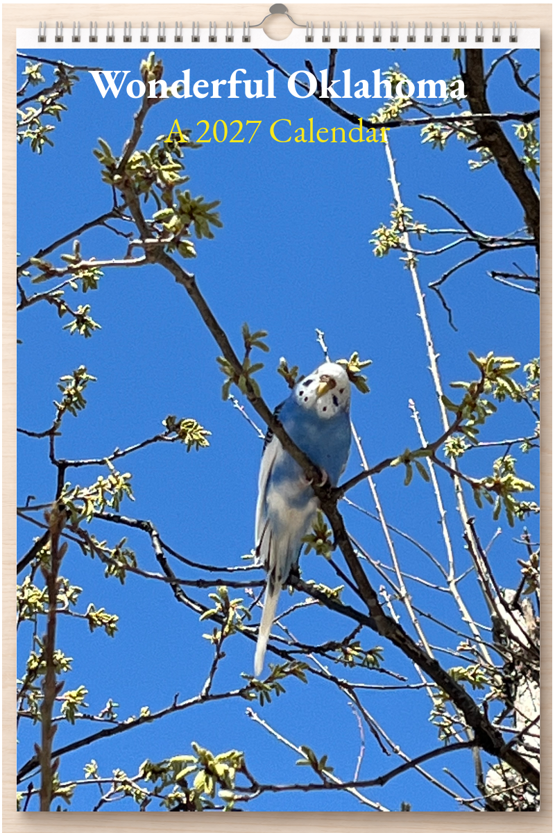 Wonderful Oklahoma: A 2027 Calendar