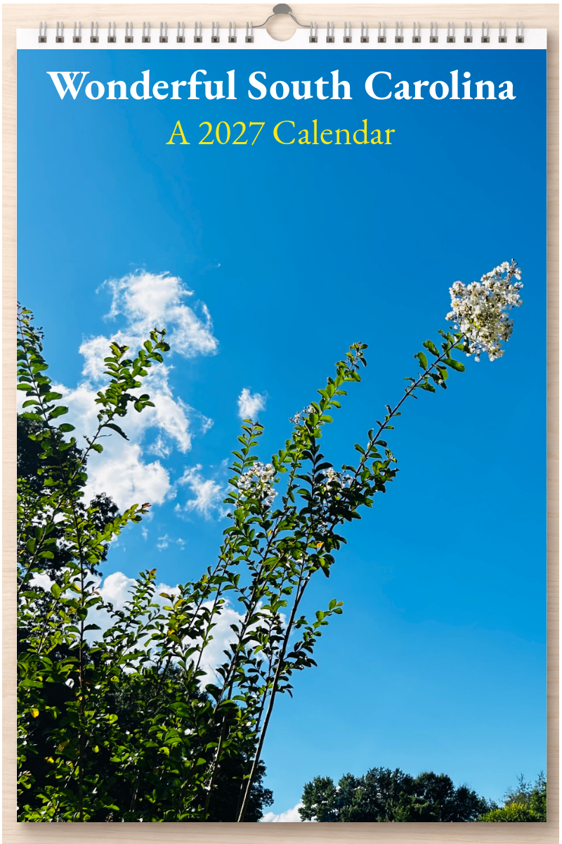 Wonderful South Carolina: A 2027 Calendar
