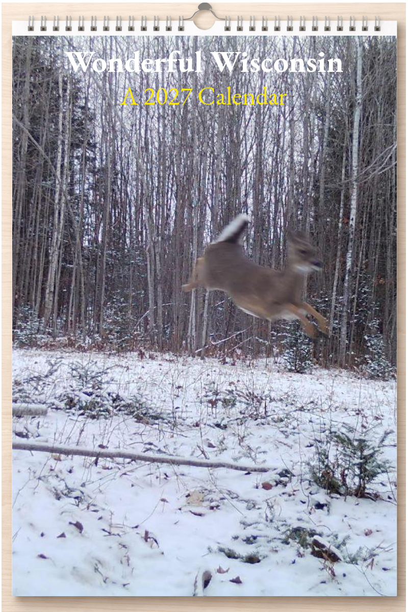 Wonderful Wisconsin: A 2027 Calendar