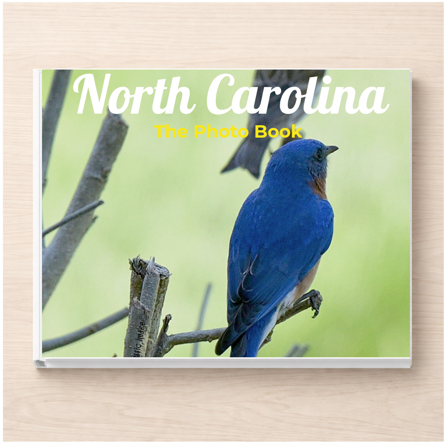 North Carolina: The Photo Book