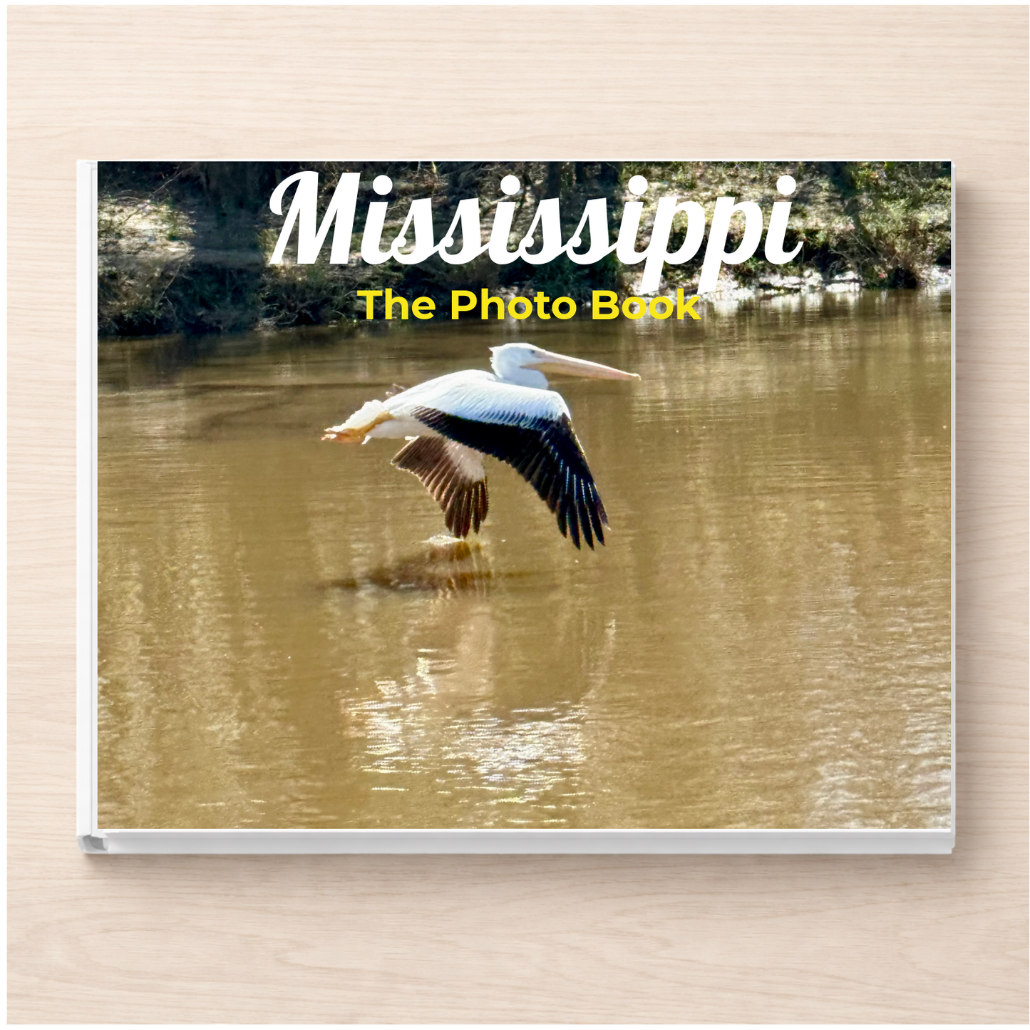 Mississippi: The Photo Book