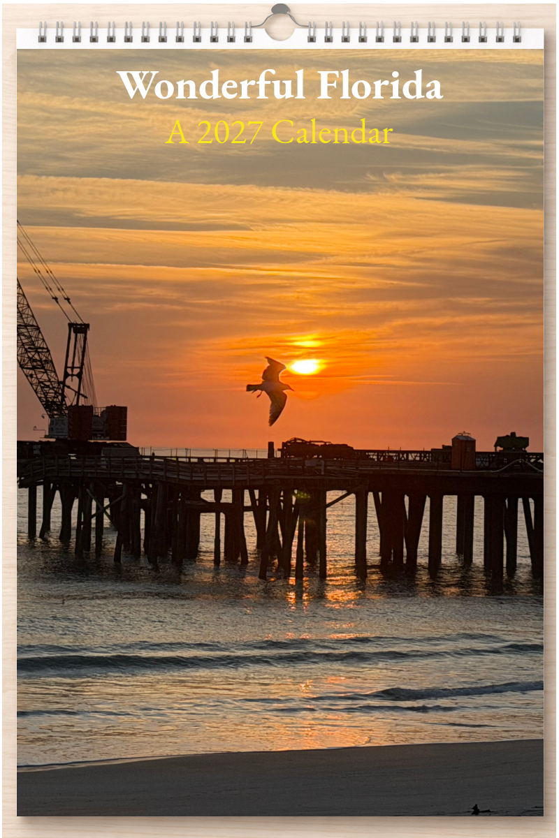 Wonderful Florida: A 2027 Calendar