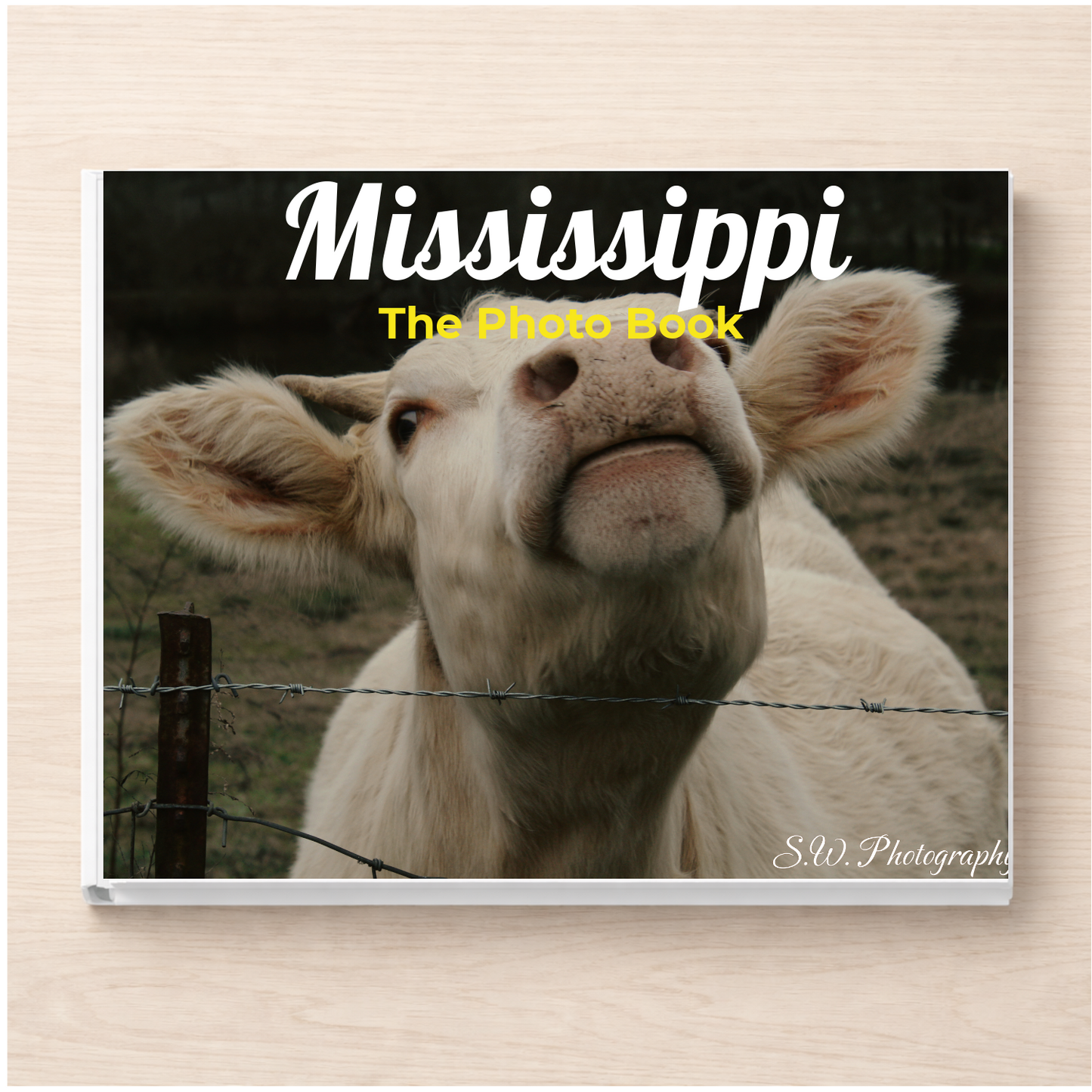 Mississippi: The Photo Book