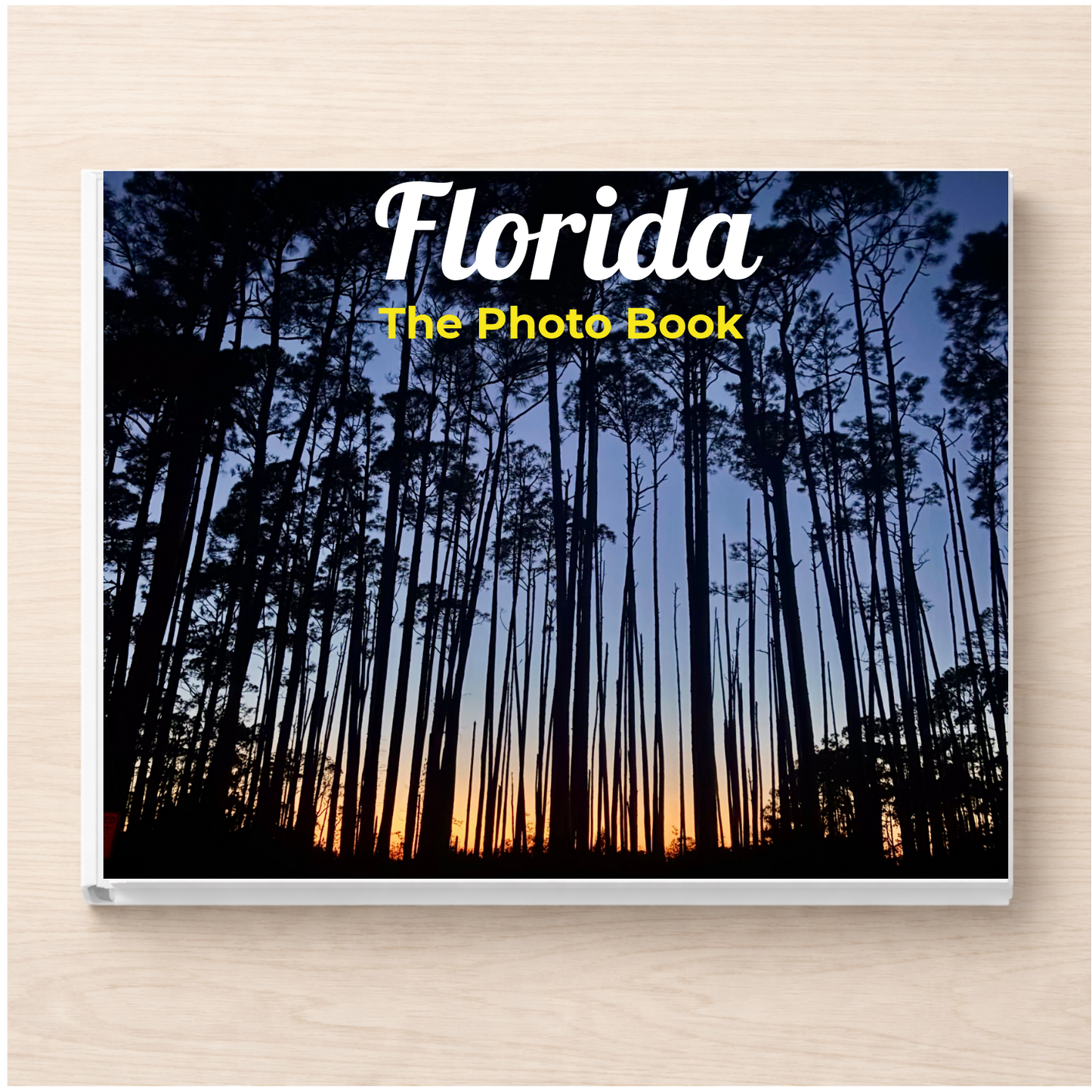 Florida: The Photo Book