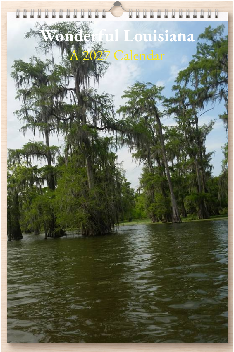 Wonderful Louisiana: A 2027 Calendar