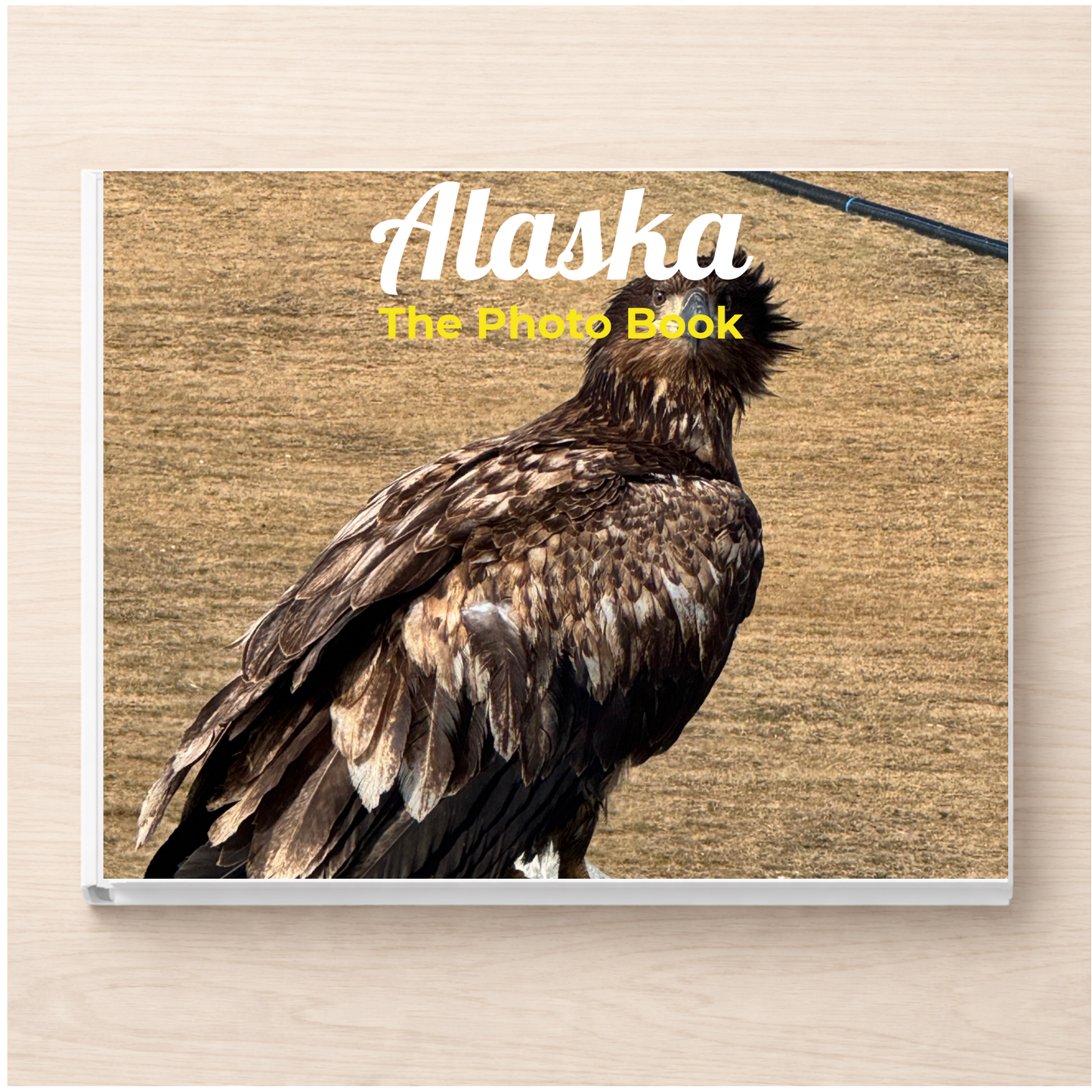 Alaska: The Photo Book