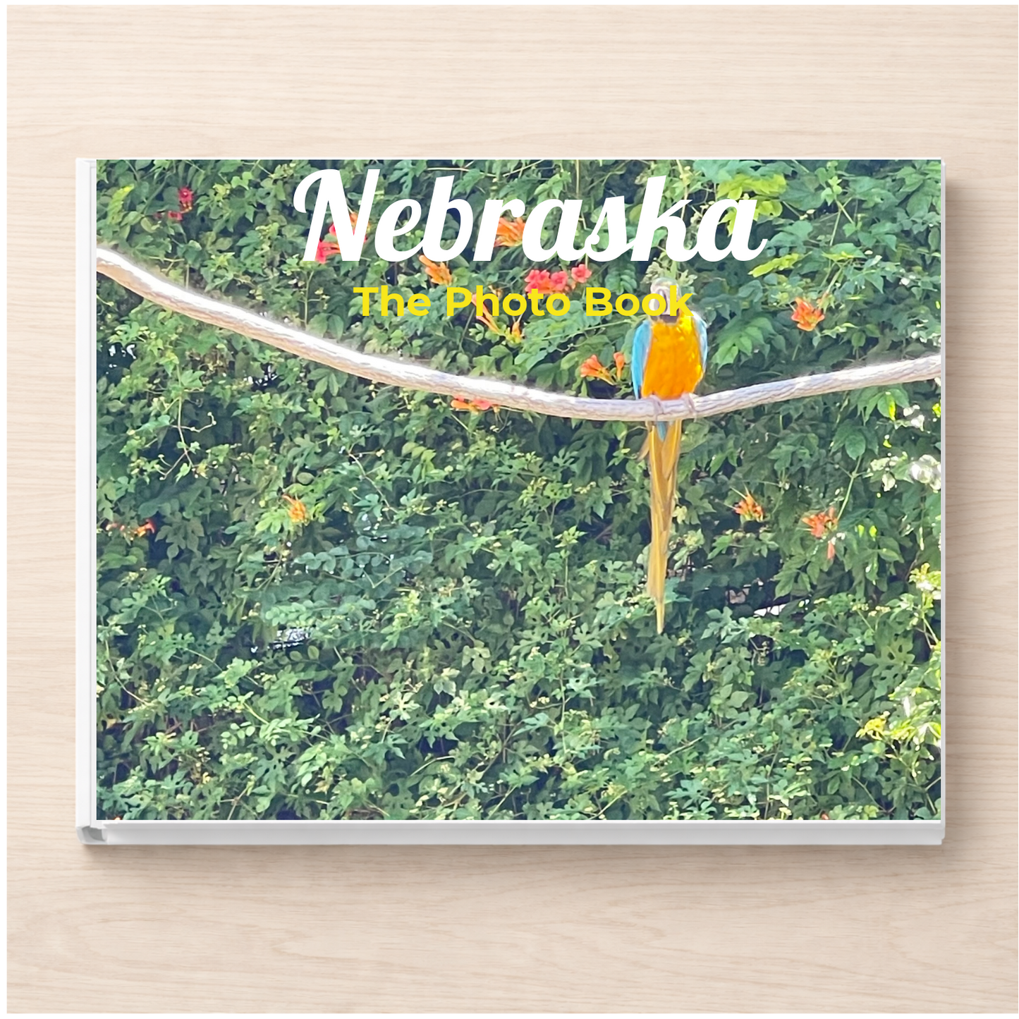 Nebraska: The Photo Book